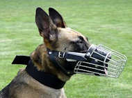 Wire Basket Dog Muzzle for Belgian Malinois