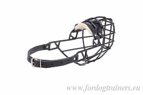 Metal Muzzle for Malinois