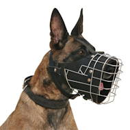 Wire Basket Muzzle for Working Dog