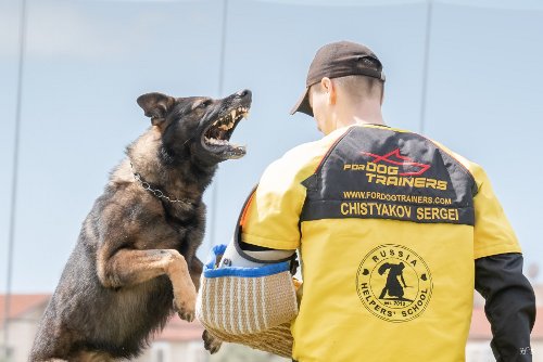 Meisterschaft IGP Israel Kleidung