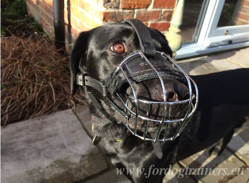 Basket Muzzle for Dog with Padding