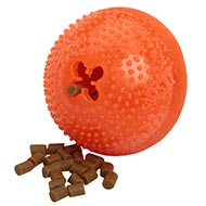 Dog
              Toy with Treats