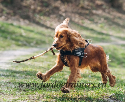 Spaniel Nylon Harness for Effective Training and Running