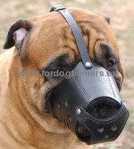 Closed leather muzzle good ventilation for Bllmastiff