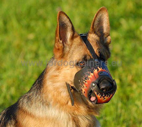 Painted leather dog muzzle for canine education