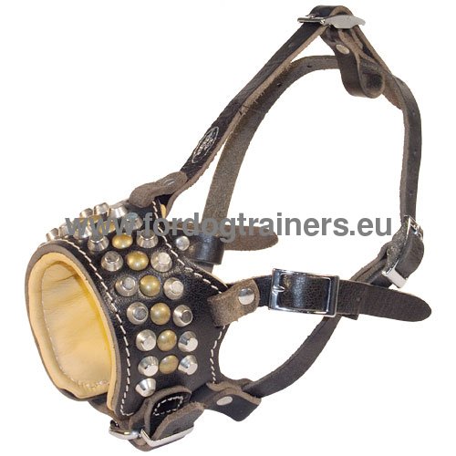 Leather dog muzzle with magnificent decoration for Pitbull