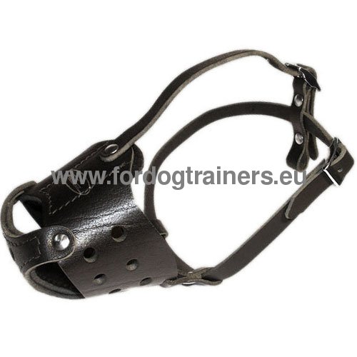 Closed leather muzzle for different dog activitis