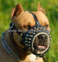 Leather muzzle for pitbull with pyramids and studs
