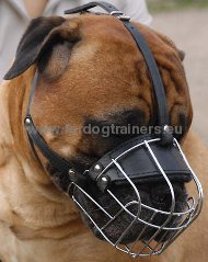 Bullmastiff Wire Basket Dog Muzzle ###