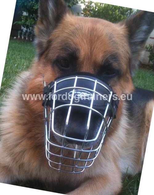 Muzzle in nickel-plated steel for German Shepherd