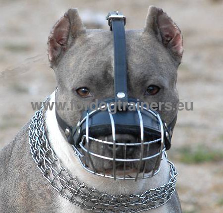 Super Strong Ventilated Dog Muzzle for Pit Bull