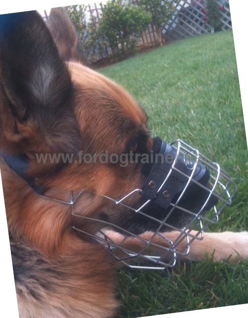Metal basket muzzle for German Shepherd