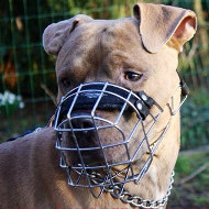 Metal Dog Muzzle for Amstaff