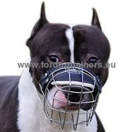 Basket
muzzle for strong Pitbull