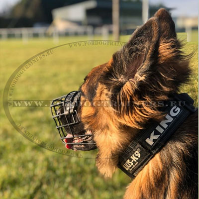 Top Quality Muzzle for GSDs