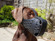 Handcrafted Leather Agitation Muzzle for Doberman