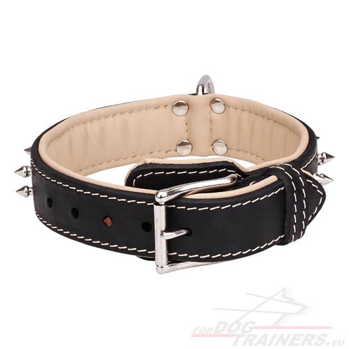 Nickel-plated Hardware of Spiked Dog Collar