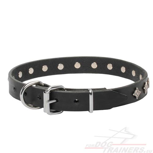 Leather Collar for Dog Black with Stars Hardware