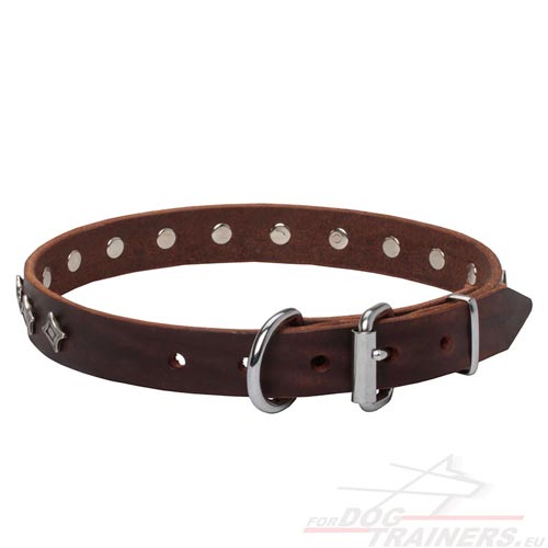 Leather Collar for Dog Brown with Stars Hardware