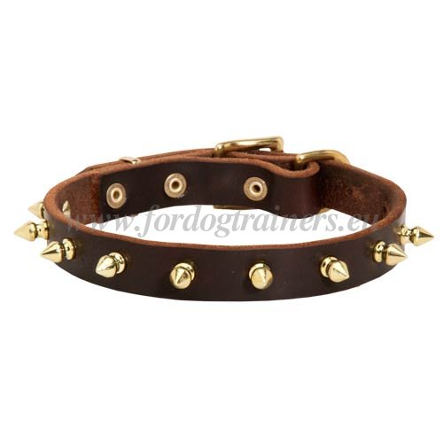 Best Spiked
Dog Collars for Big Dogs