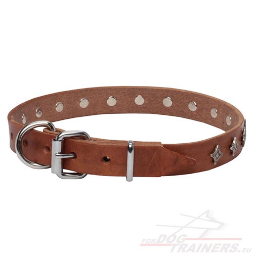 Leather Collar for Dog Tan with Stars Hardware
