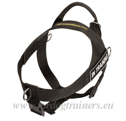 Dog Harness with Handle on Top for Training