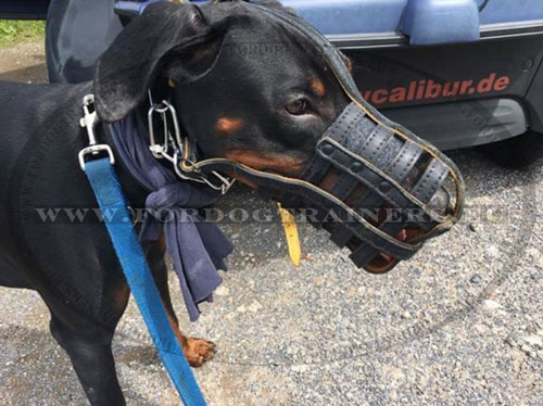 Leather Dog Muzzle Allowing to Bark