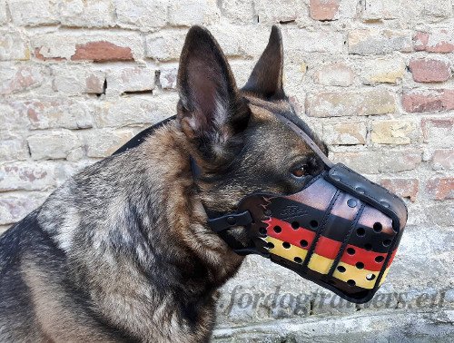 Service Dog Painted Leather Muzzle