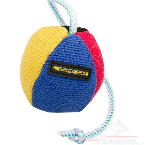 Ball for dog games on a rope