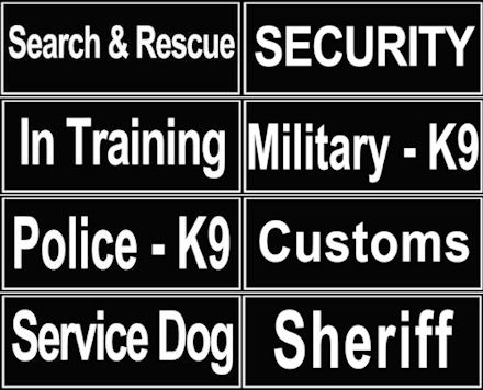 Patches for Identification
Dog Harness