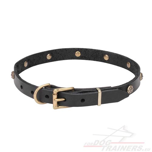 Dog Training Collar with Solid Buckle