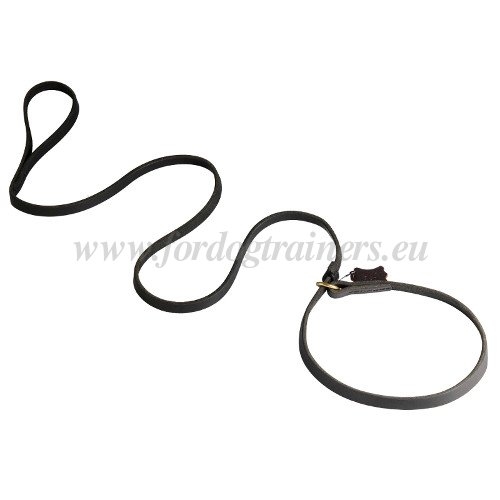 Leather
Leash for Dogs