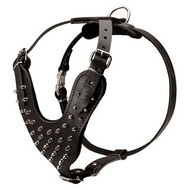Leather Spiked Harness