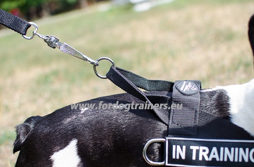 Dog Harness for Small Dog Walking