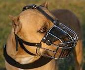 Wire Basket Muzzle for large breeded dogs