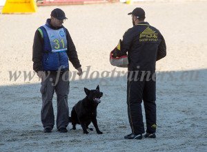 Dog Protection Championship