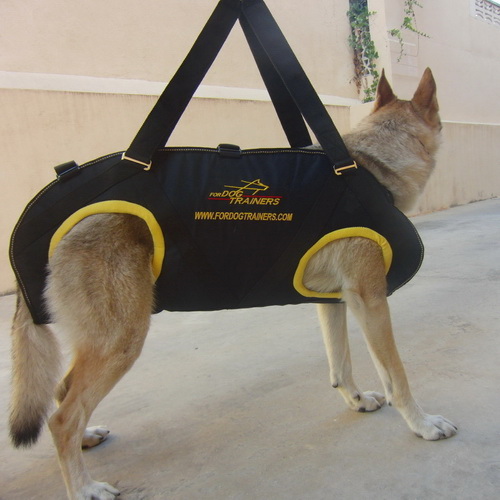 Nylon Dog Harness for Rescue Operations
