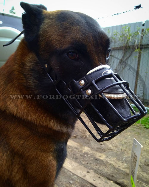 Dog Training Muzzle Rubbered Basket