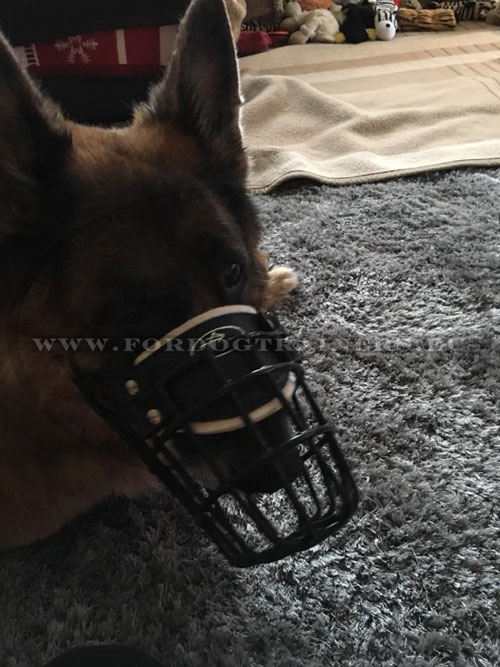 Dog Wire Muzzle with Rubber