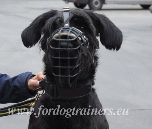 Wire Dog Muzzle for Big Dog
