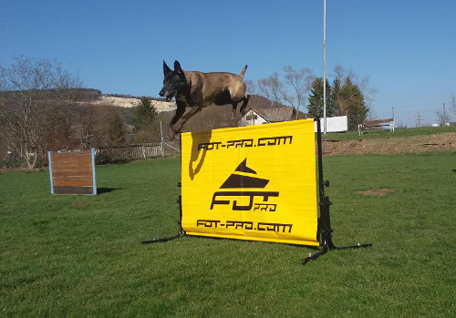 Haie agility pour chien fun & sport par Fordogtrainers