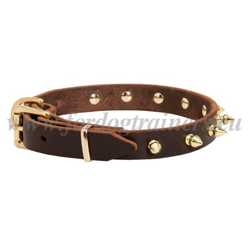 Custom Leather Spiked Dog Collars