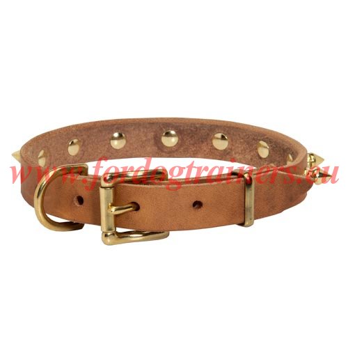 Super Spiked Dog Collars Brown and Tan