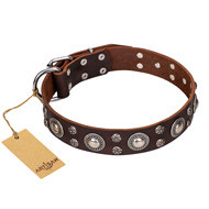 Leather Collar Brown with Studs