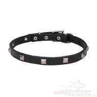 Studded
Leather Dog Collar Narrow