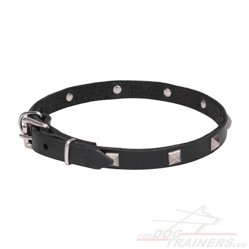 Leather Collar for Dog 20 mm Wide with Studs