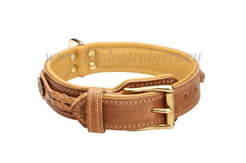 Dog Braided Collar Tan Leather
