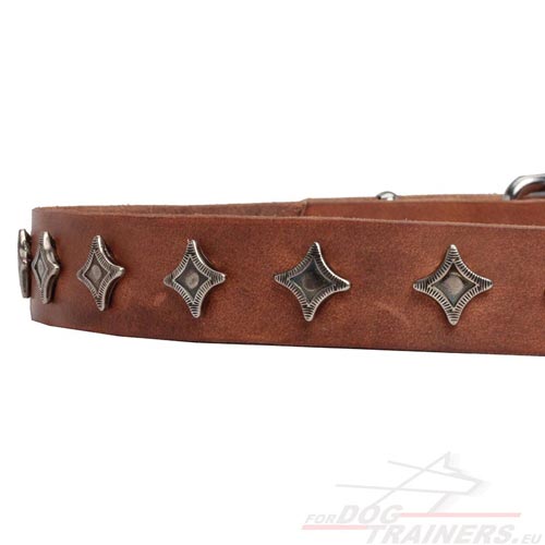 Dog Collar for Walking with Stars Tan