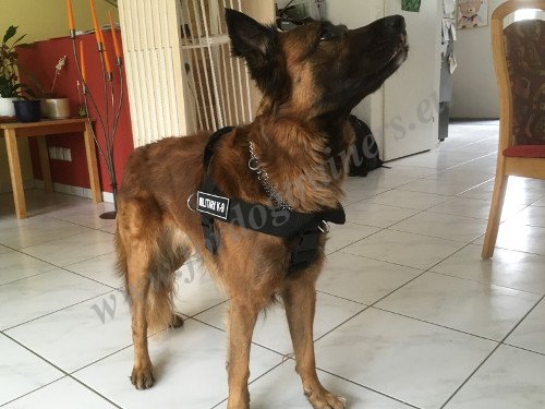 Strong Dog Harness with Patches