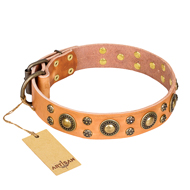 Brass Studded Leather Dog Collar